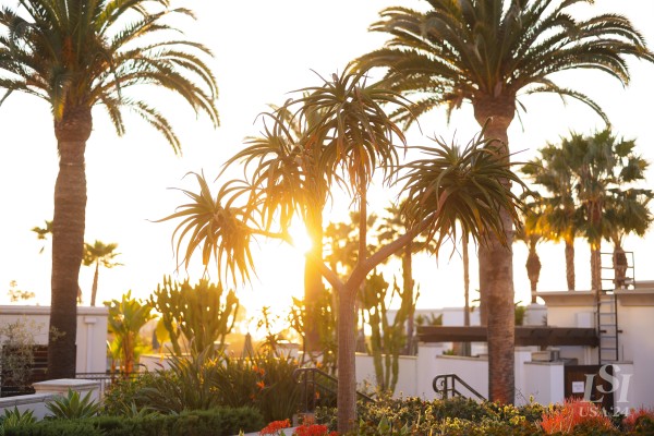 063 - LSI USA24 - DAY 2 - EVE