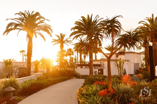 065 - LSI USA24 - DAY 2 - EVE