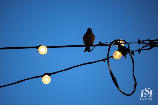 20-03-25 LSI Day 3 Investors Dinner (Adam)-68