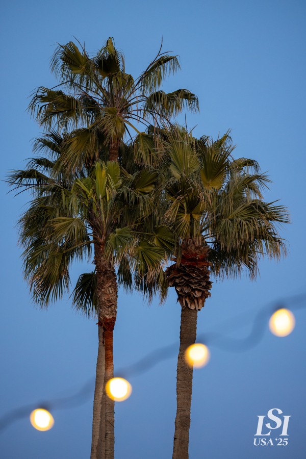 20-03-25 LSI Day 3 Investors Dinner (Adam)-81